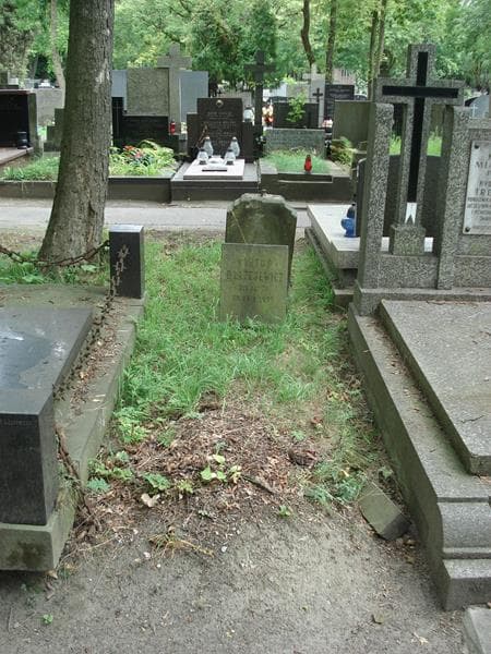 Zdjęcie grobu: Wiktor Błażejewicz