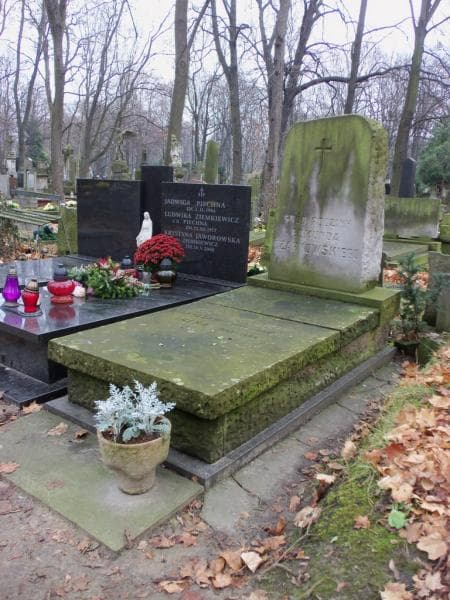 Zdjęcie grobu Stanisław Czarnowski (1)