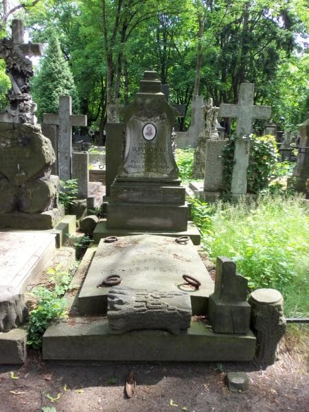 Zdjęcie grobu: Wiktorja Towarnicka