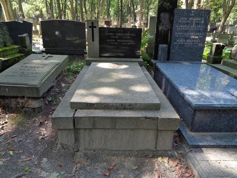 Zdjęcie grobu Janina Gorzuchowska (1)
