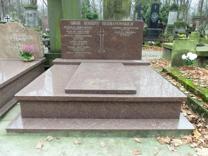 Zdjęcie grobu: Bolesław Hermanowski