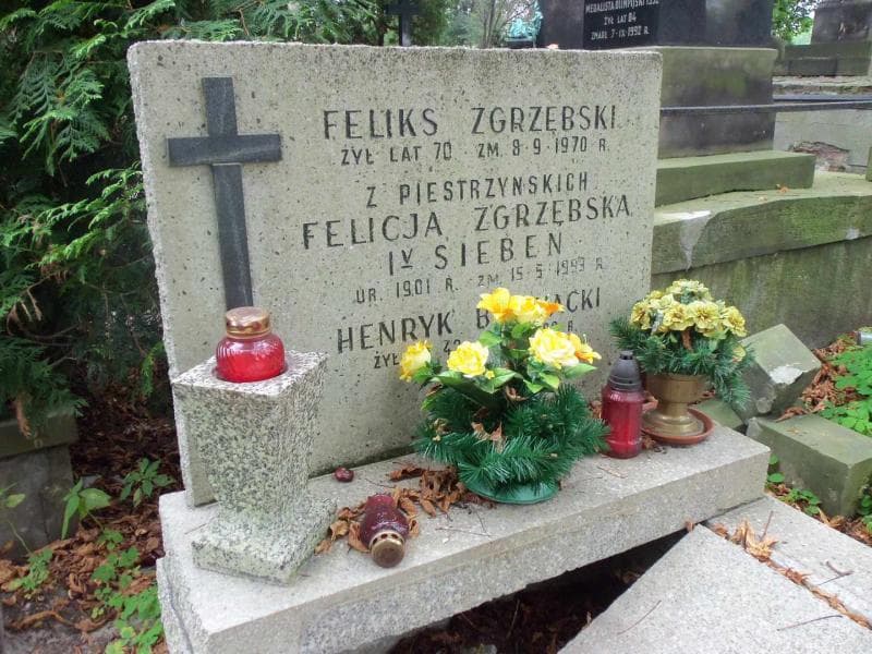 Zdjęcie grobu Henryk Biernacki (2)