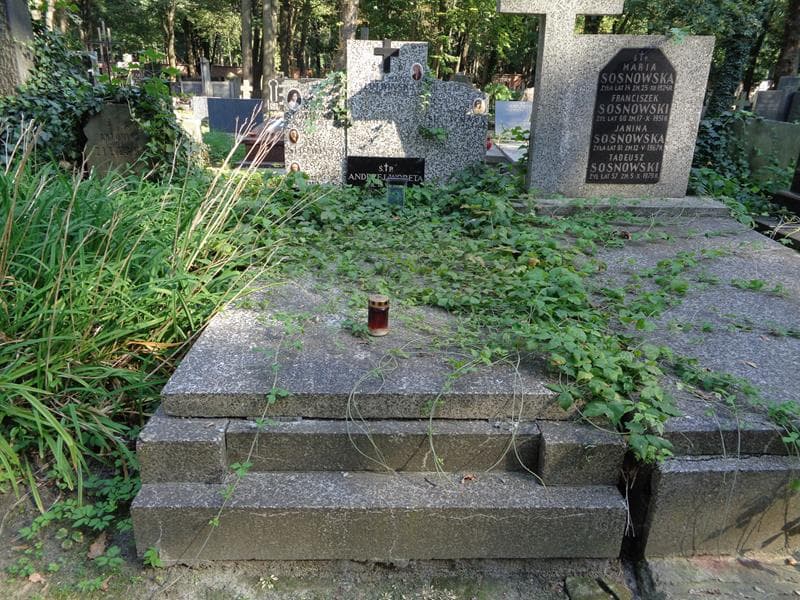 Zdjęcie grobu: Tadeusz Słotwiński