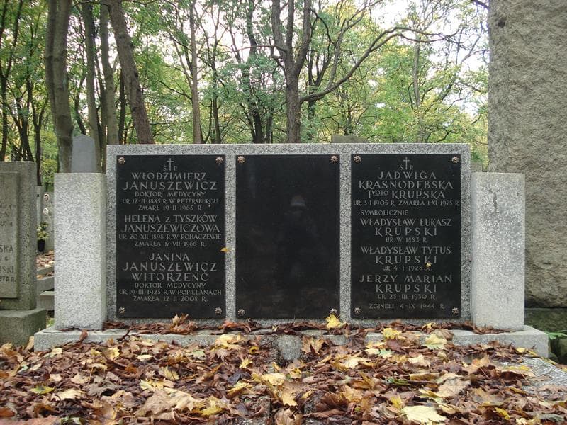 Zdjęcie grobu Włodzimierz Januszewicz (2)