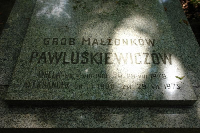 Zdjęcie grobu Aleksander Pawluśkiewicz (2)