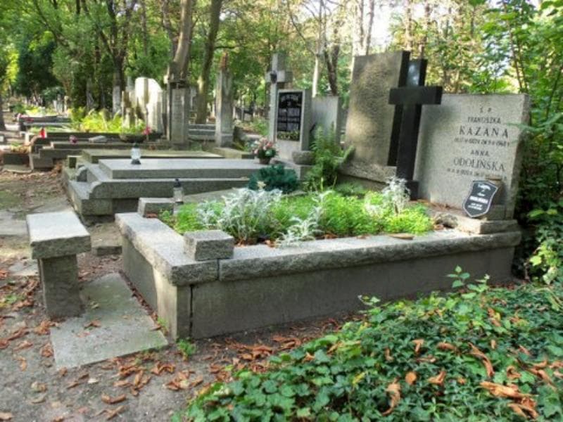 Zdjęcie grobu Anna Odolińska (1)