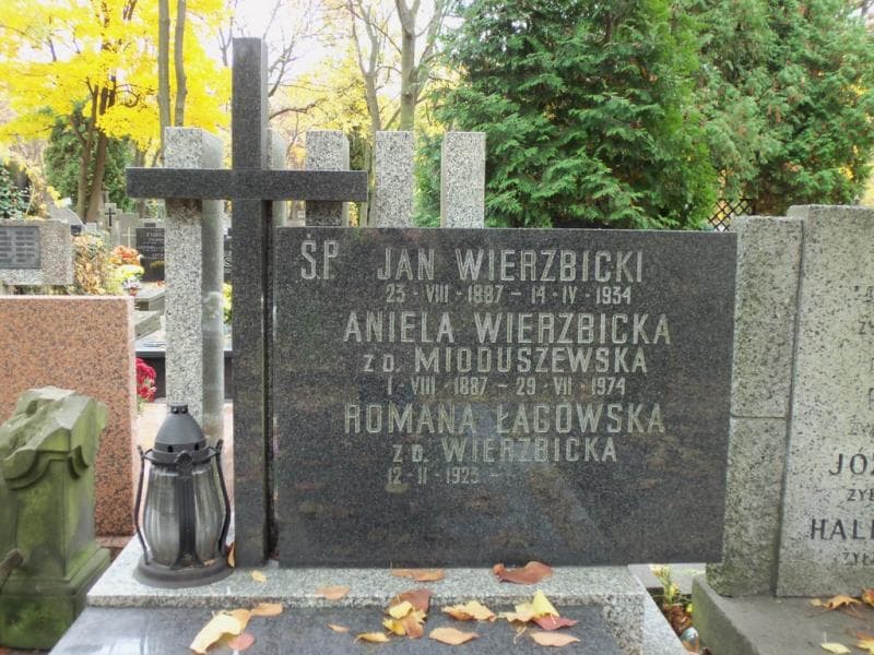 Zdjęcie grobu Feliks Dąbrowski (2)