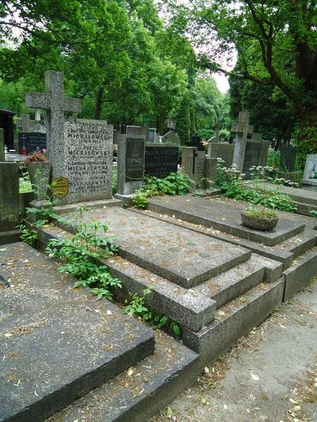 Zdjęcie grobu Adolf Michałowski (1)