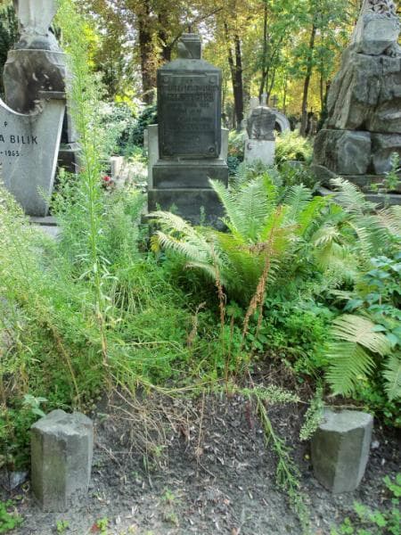 Zdjęcie grobu: Salomea Szlezygier