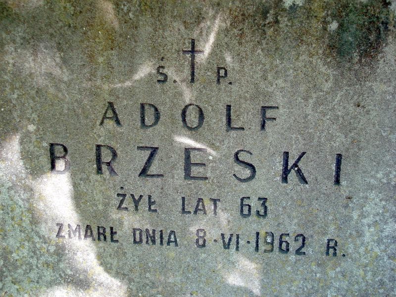 Zdjęcie grobu Adolf Brzeski (2)