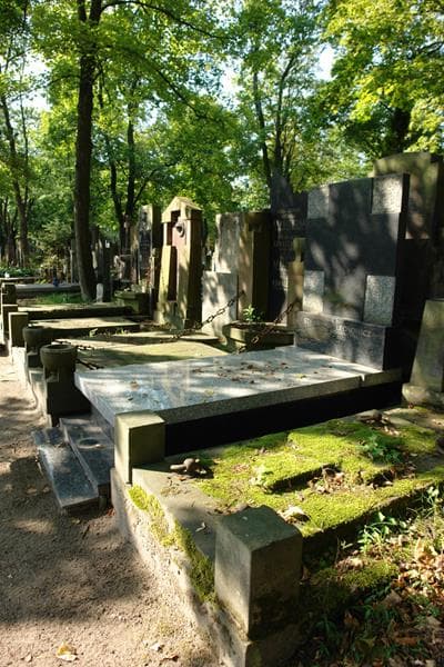 Zdjęcie grobu Stanisław Leonowicz (1)