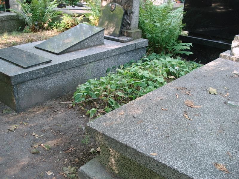 Zdjęcie grobu: Pole Grobowe