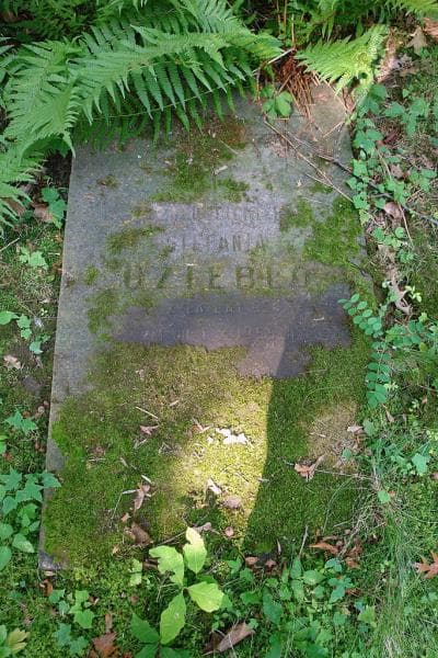 Zdjęcie grobu Stefania Uziębło (2)