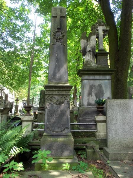 Zdjęcie grobu Wincenty Idzkowski (2)