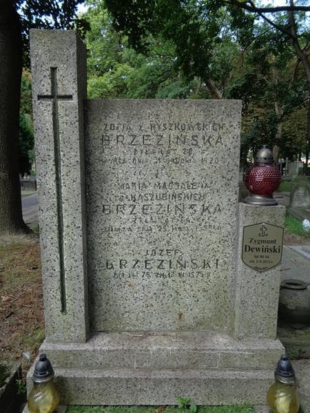 Zdjęcie grobu Zygmunt Dewiński (2)