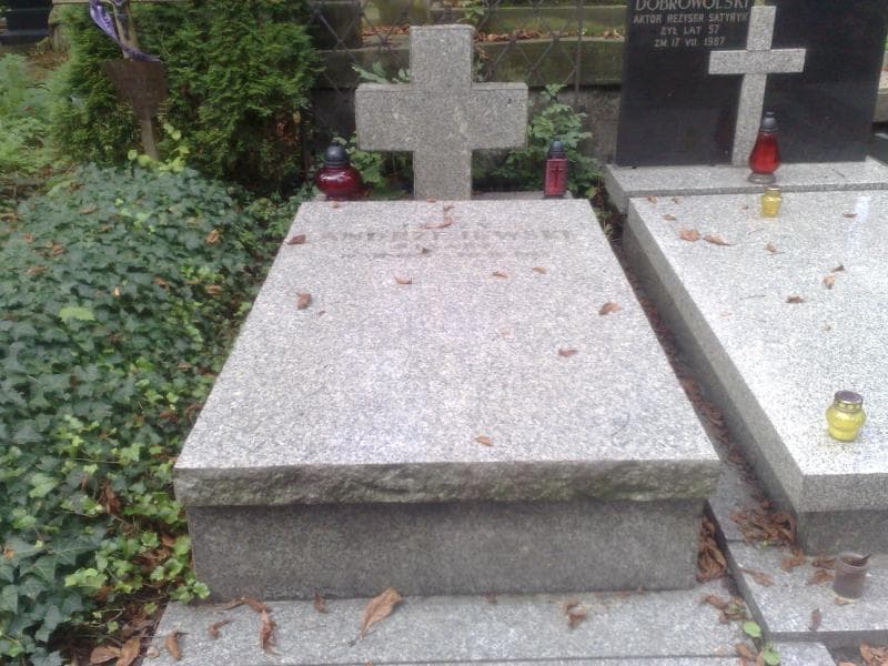 Zdjęcie grobu: Jerzy Andrzejewski
