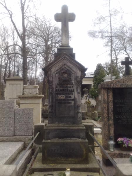 Zdjęcie grobu Henryk Krzyżanowski (1)