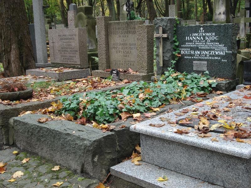 Zdjęcie grobu Feliksa Janczewska (1)