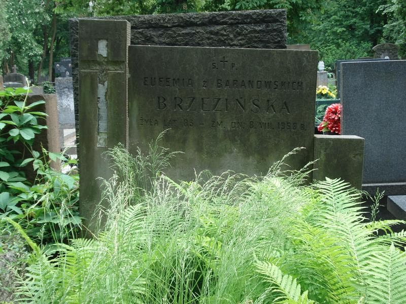 Zdjęcie grobu Eufemia Brzezińska (2)
