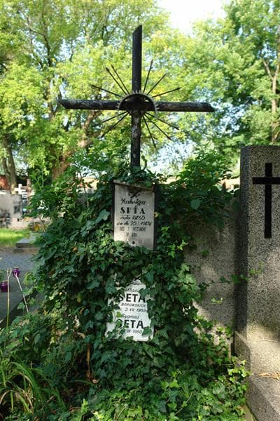 Zdjęcie grobu Zygmuś Seta (2)