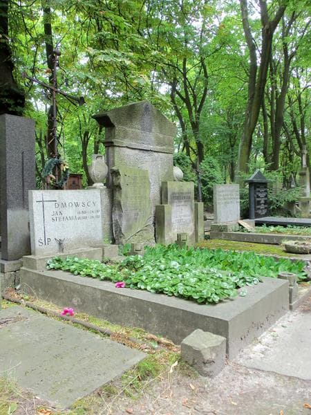 Zdjęcie grobu Jan Dmowski (1)