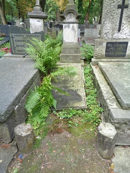 Zdjęcie grobu: Bronisław Rożyński