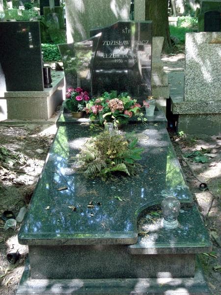 Zdjęcie grobu: Zdzisław Tracz