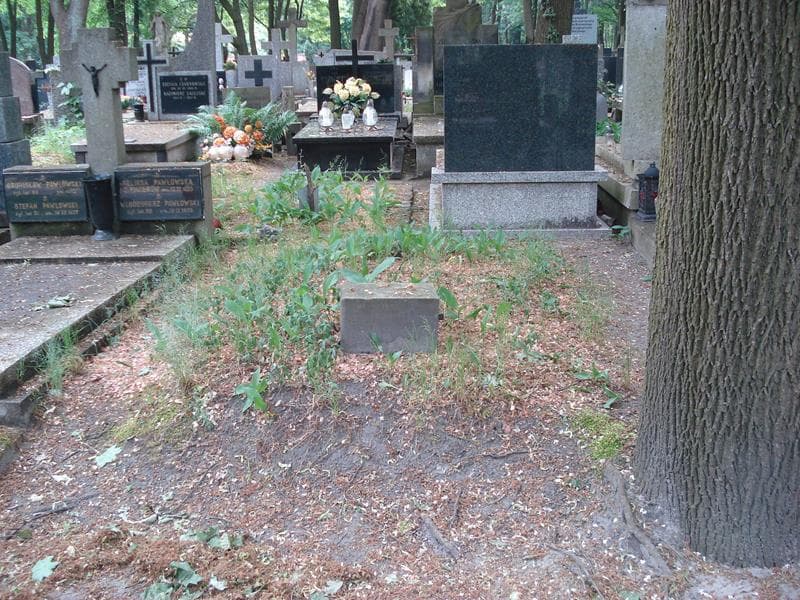 Zdjęcie grobu: Pole Grobowe