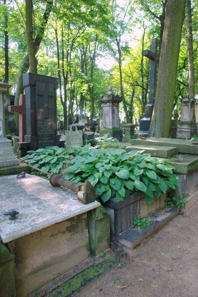 Zdjęcie grobu: Bohdan Żochowski