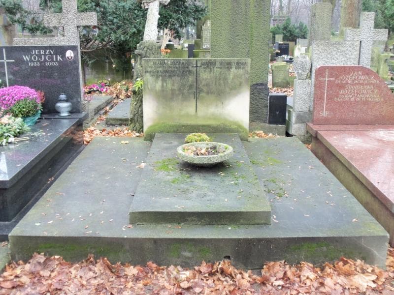 Zdjęcie grobu: Kazimierz Dębski