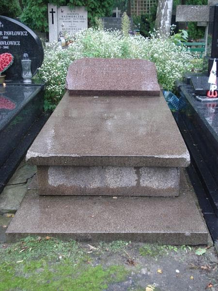 Zdjęcie grobu: Henryk Trociński