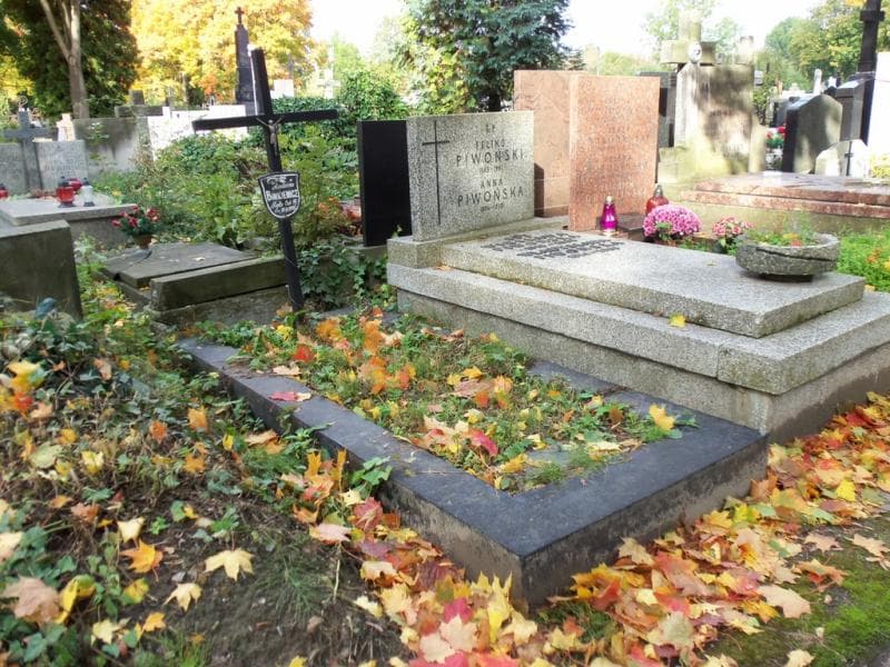 Zdjęcie grobu Ludwina Binkiewicz (1)