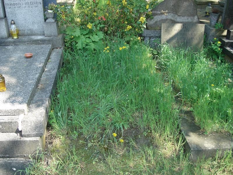 Zdjęcie grobu: Pole Grobowe
