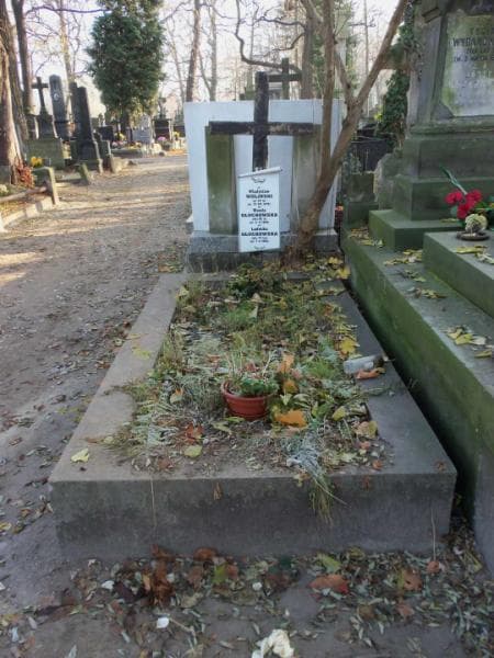 Zdjęcie grobu: Ludwika Głuchowska