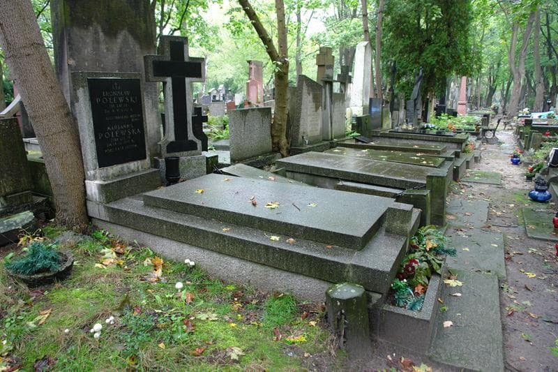 Zdjęcie grobu: Bronisław Polewski