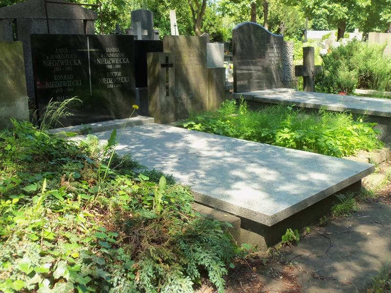 Zdjęcie grobu Halina Niedzwiecka (1)