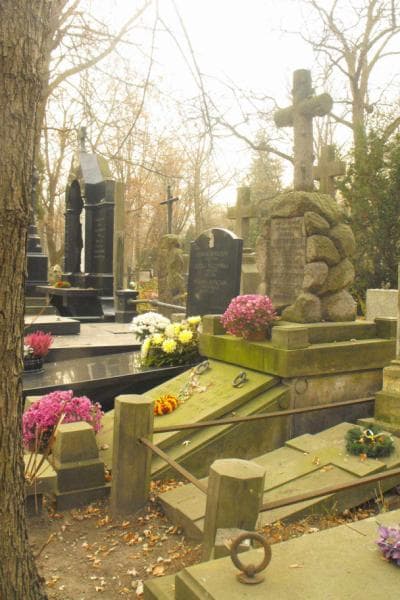 Zdjęcie grobu Marja Drozdowska (1)
