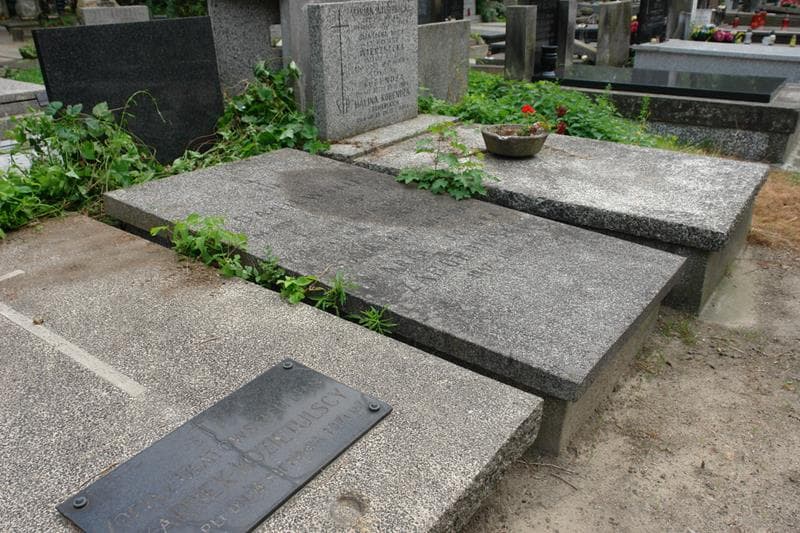 Zdjęcie grobu: Stanisława Daniewska