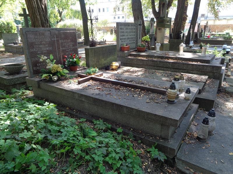 Zdjęcie grobu: Maria Białoskórska
