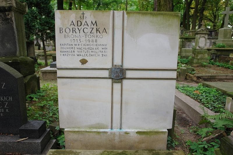 Zdjęcie grobu Adam Boryczka (2)