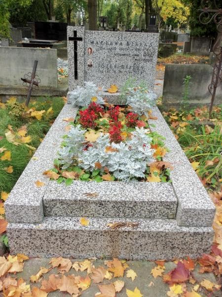Zdjęcie grobu: Józef Białas