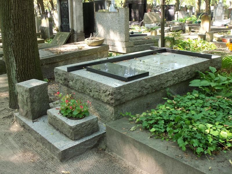 Zdjęcie grobu: Henryk Lipiński