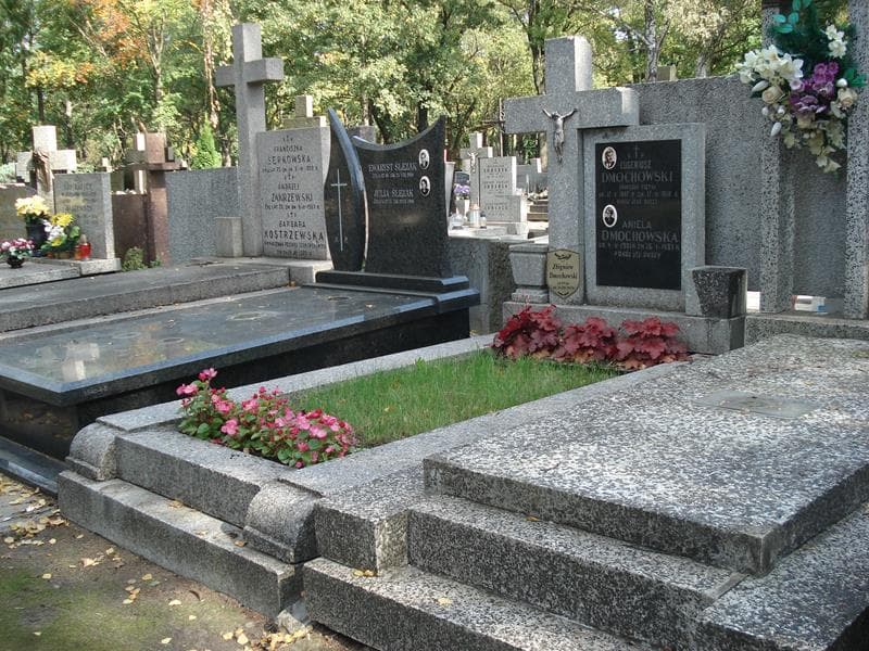 Zdjęcie grobu Aniela Dmochowska (1)