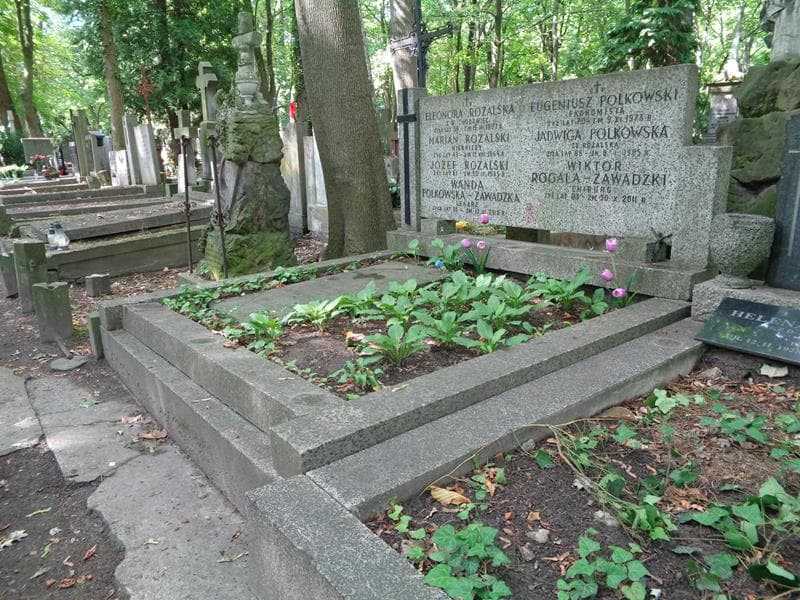 Zdjęcie grobu: Eugeniusz Polkowski