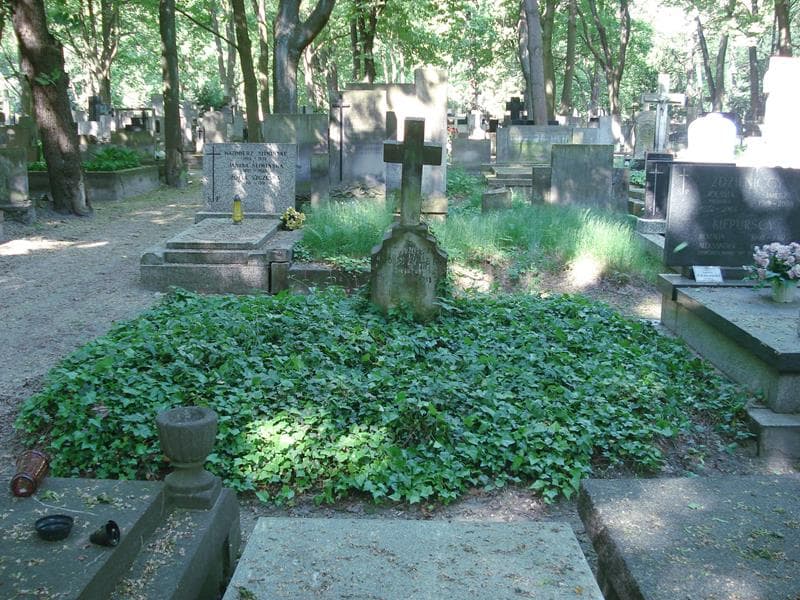 Zdjęcie grobu: Karol Przemysław Poduszyński