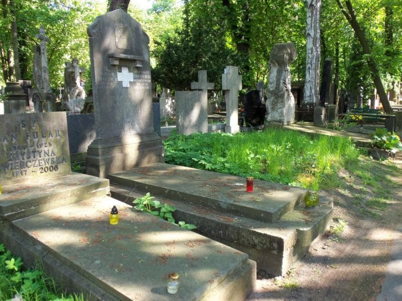 Zdjęcie grobu Stanisław Chrzanowski (1)