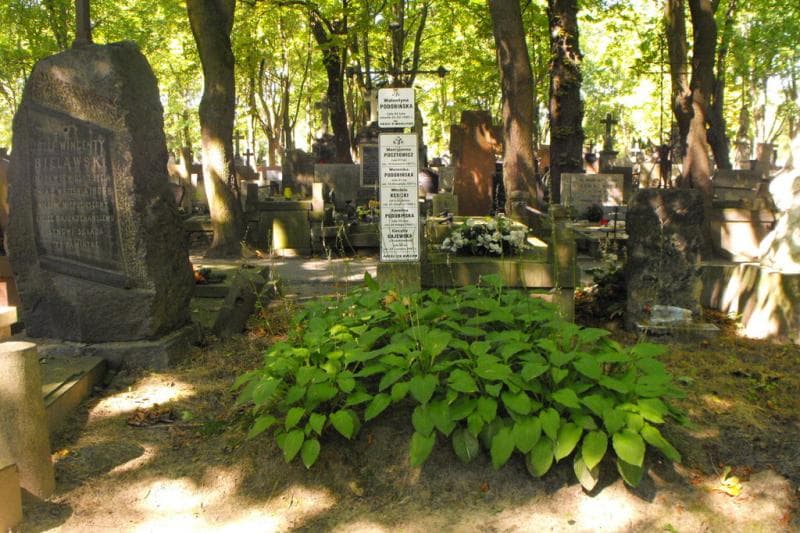 Zdjęcie grobu Marcyjanna Pocztowicz (1)