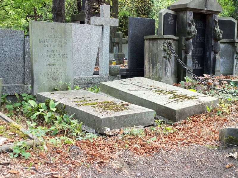 Zdjęcie grobu Stanisław Tatarkiewicz (1)