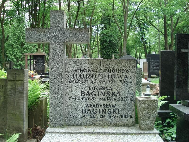 Zdjęcie grobu Jadwiga Horochowa (2)