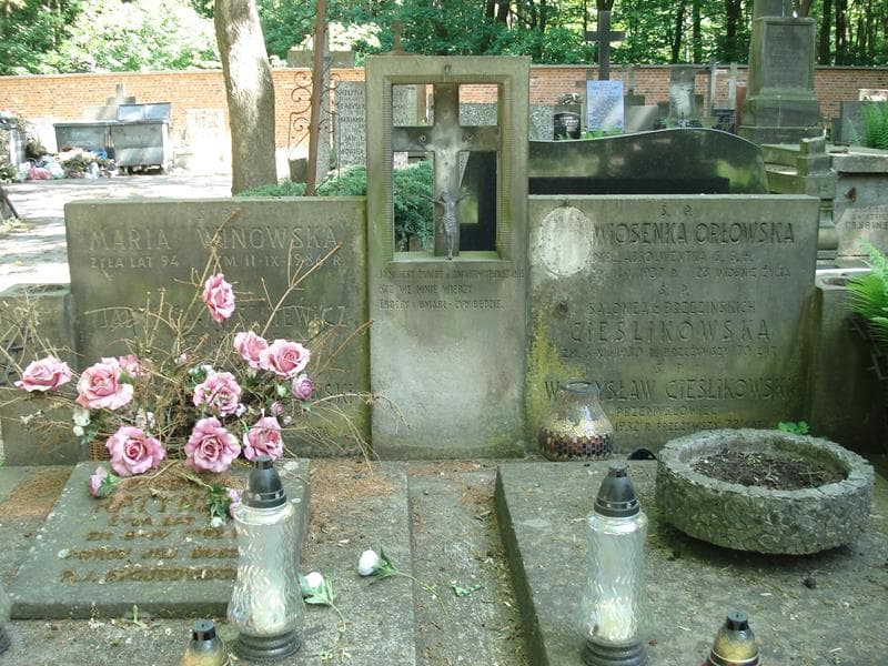 Zdjęcie grobu Władysław Cieślikowski (1)